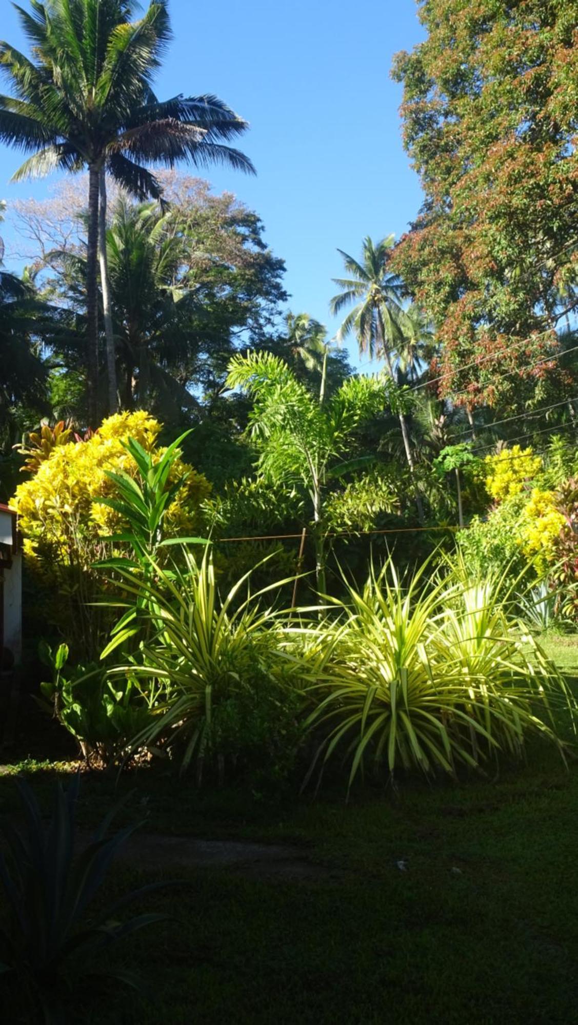Acacia'S Cottages With Starlink Wifi Mambajao Exterior photo