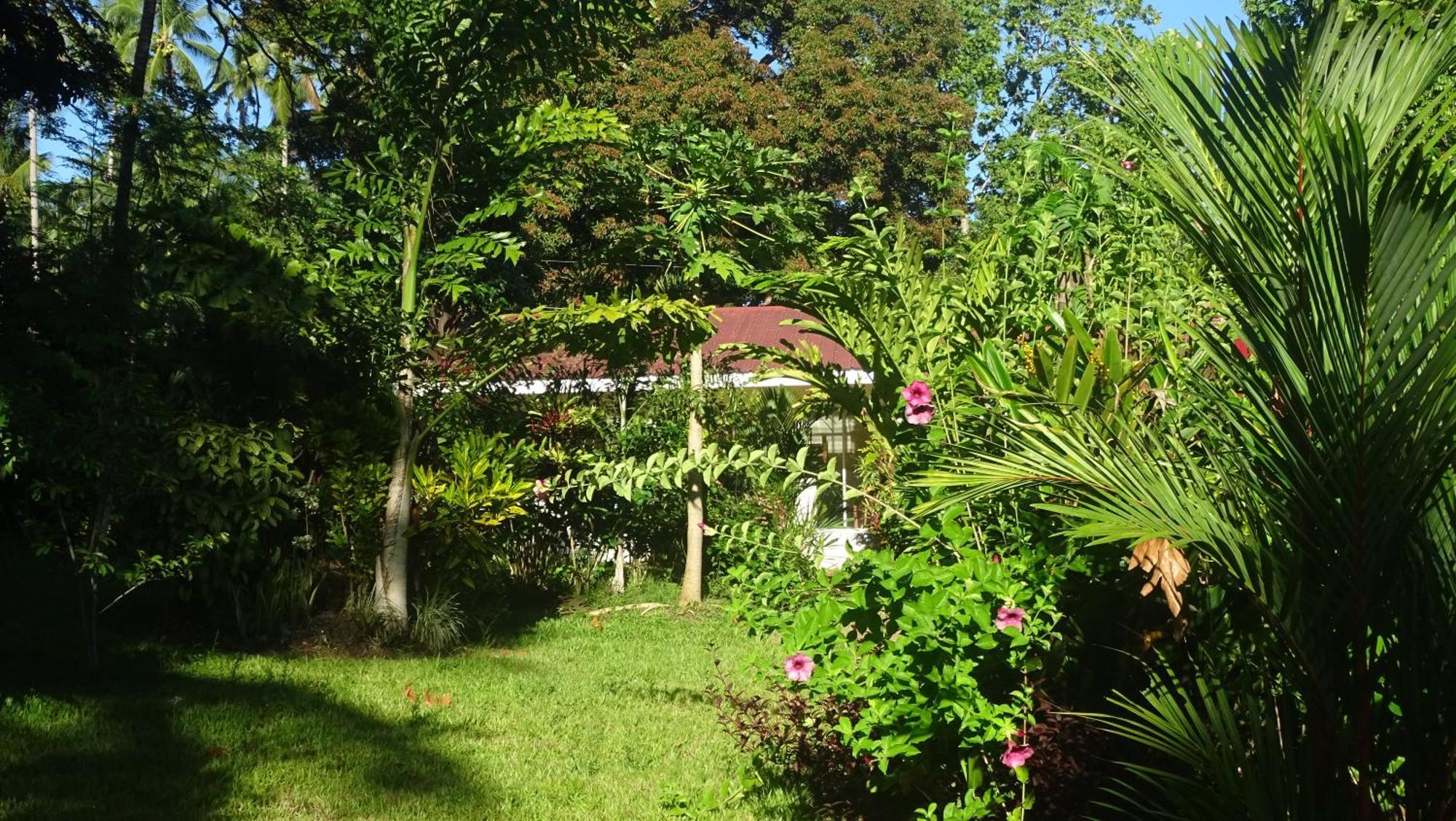 Acacia'S Cottages With Starlink Wifi Mambajao Exterior photo